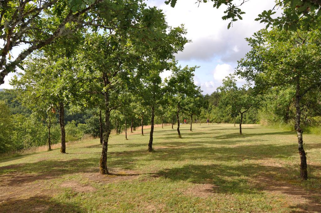 Domaine De La Greze Hotell Murat Exteriör bild